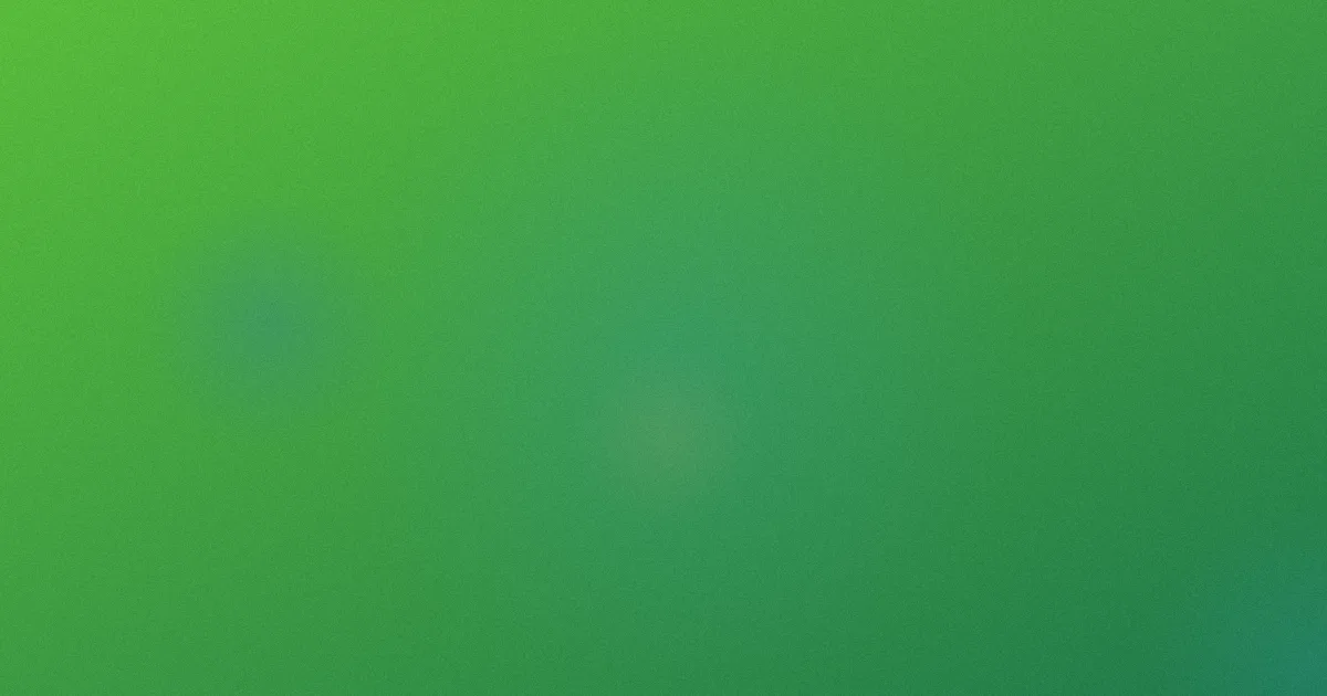 第一导航攻略：同类横评